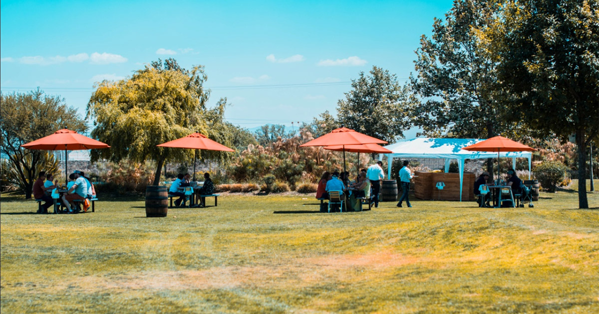 How to Make a Picnic More Entertaining