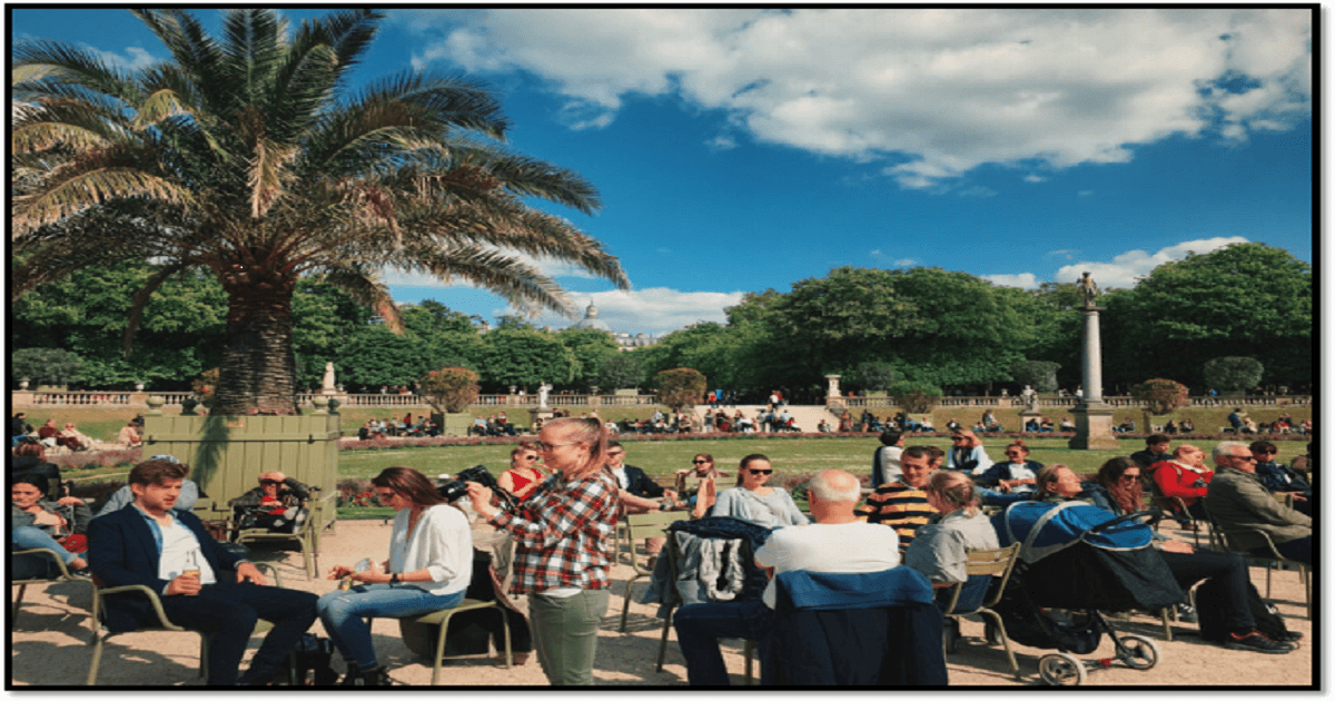 The Ultimate Checklist for Organizing a Company Picnic Bay Area