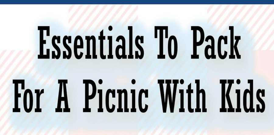 Essentials To Pack For A Picnic With Kids