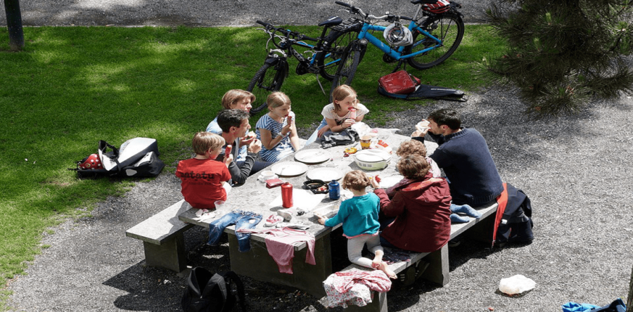 Spare Some Time for Summertime Fun: Why Family Picnics Are Important