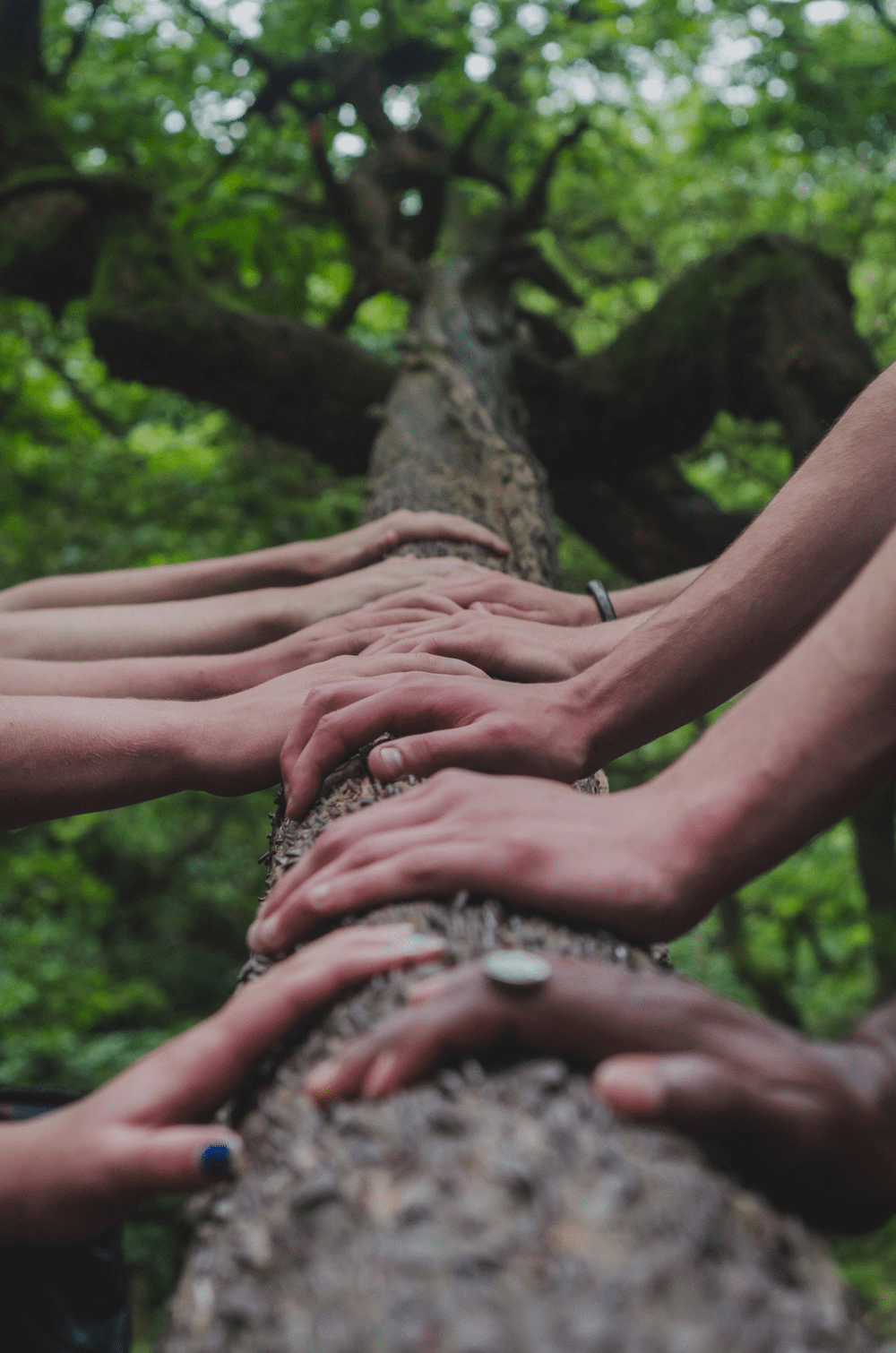 Teambuilding Activities That Can Improve Coordination In Your Workforce