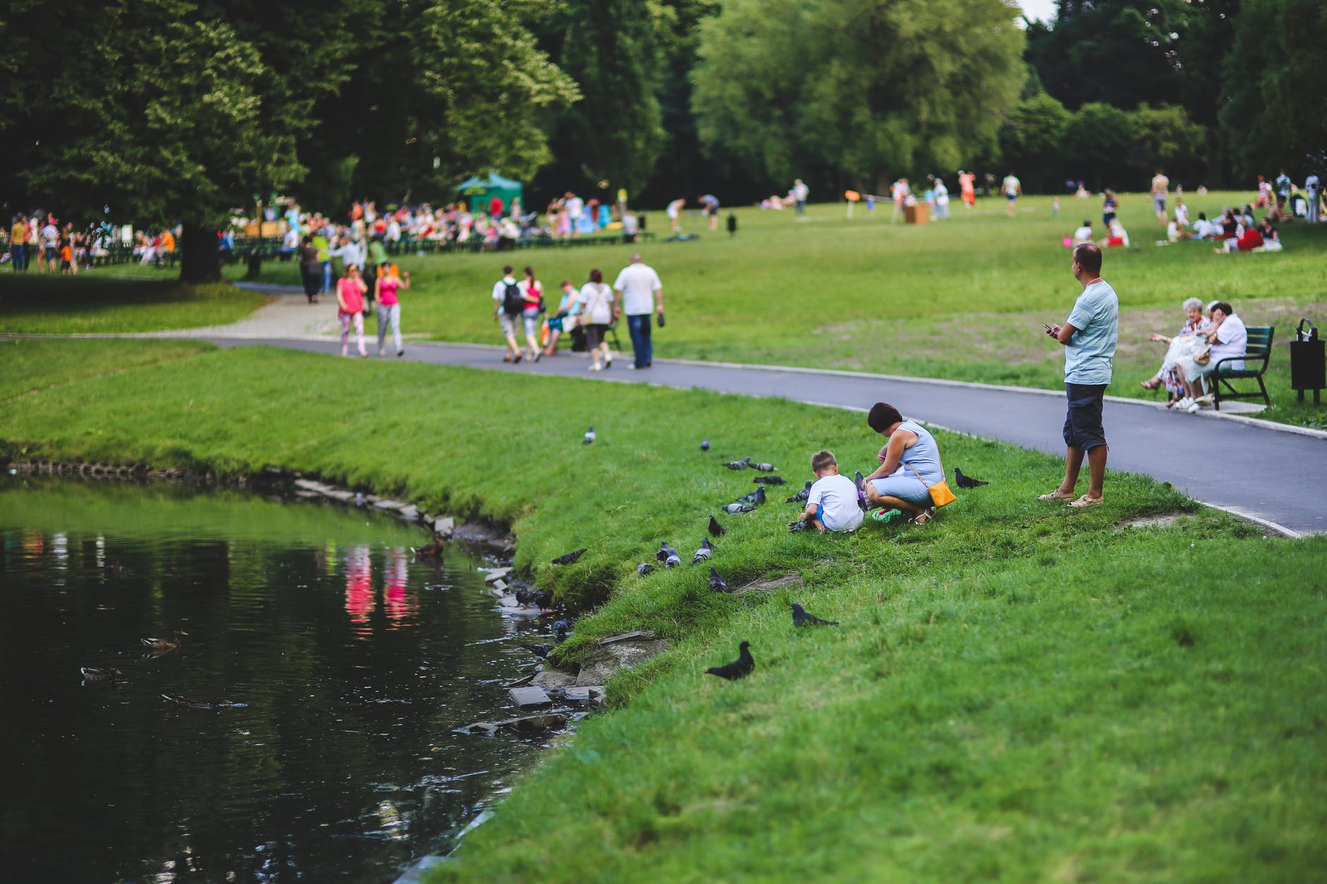 Bringing Employees Together With Corporate Picnics
